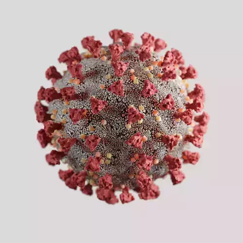 Corona virus - Optimized PBR Low-poly 3D model
