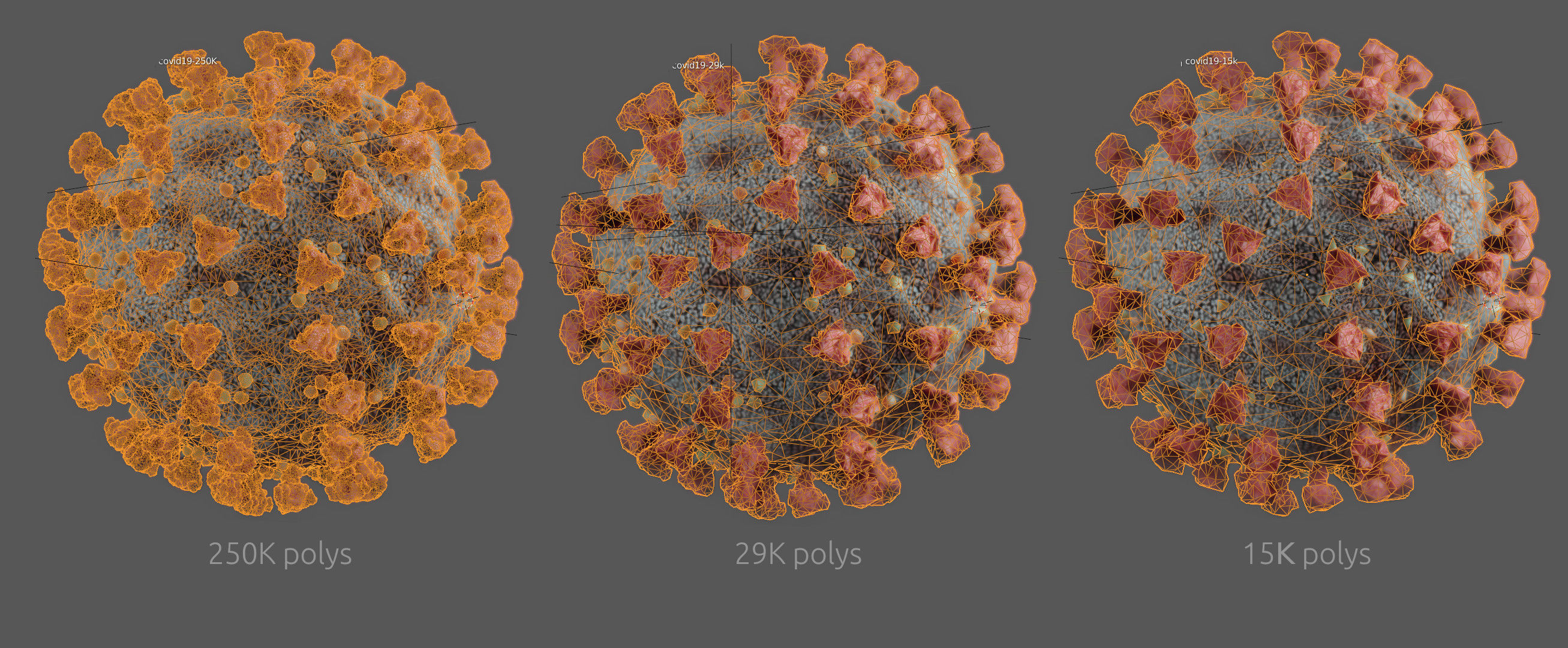 Corona virus - Optimized PBR Low-poly 3D model_6