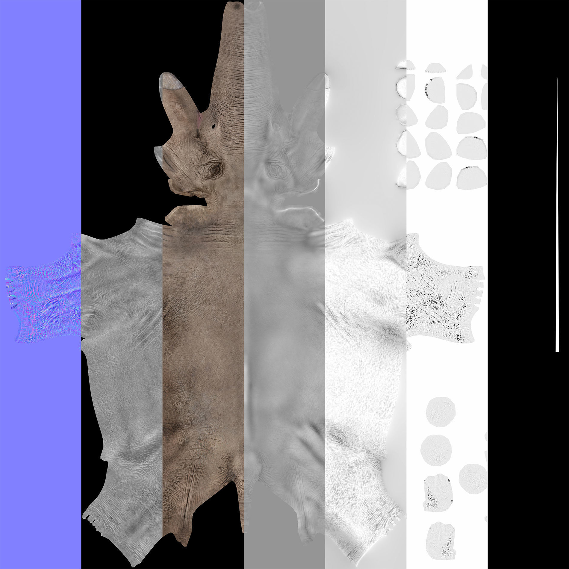 Extinct animals pack version 7 3D model_80