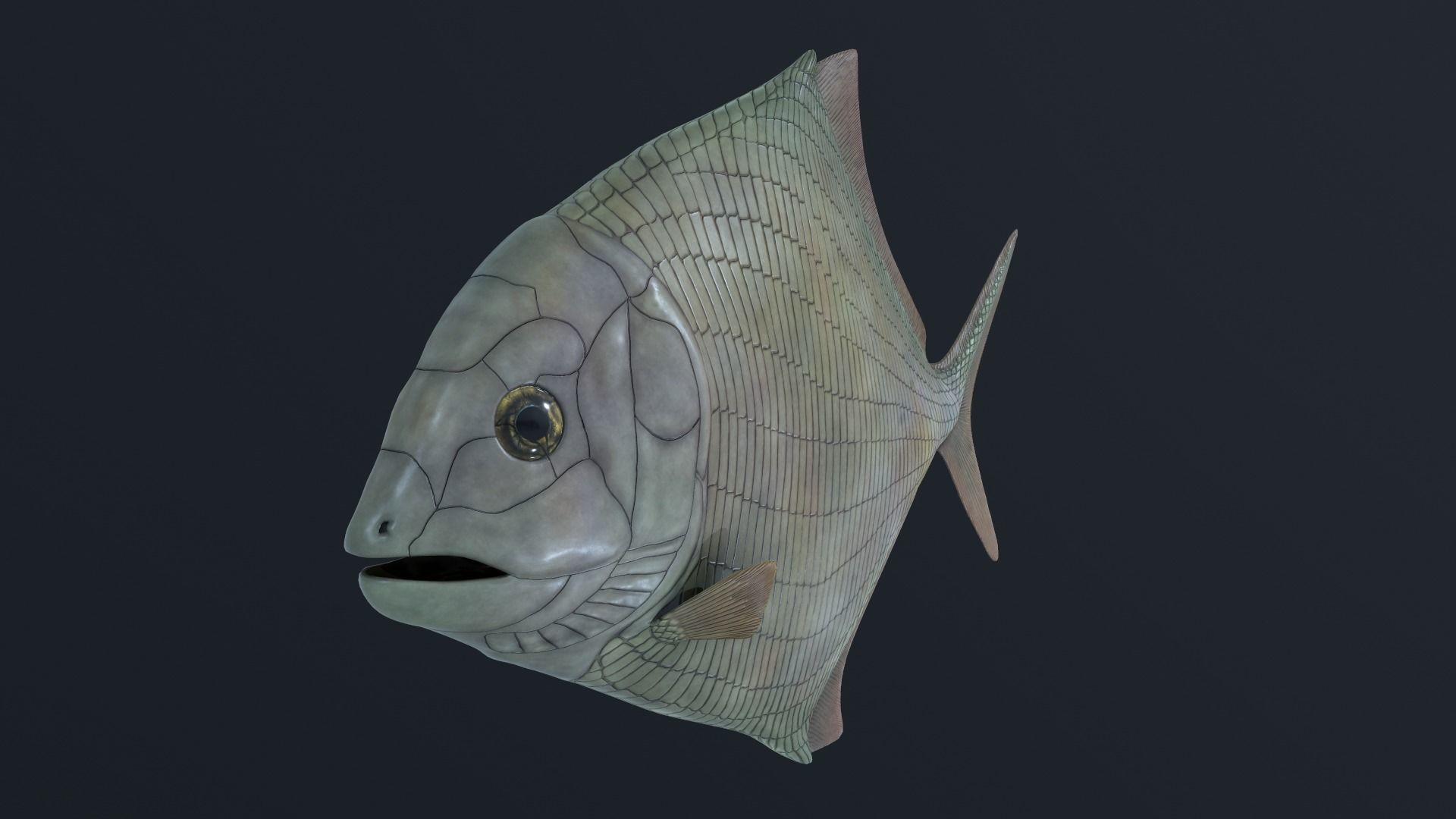 Extinct animals pack version 7 3D model_55