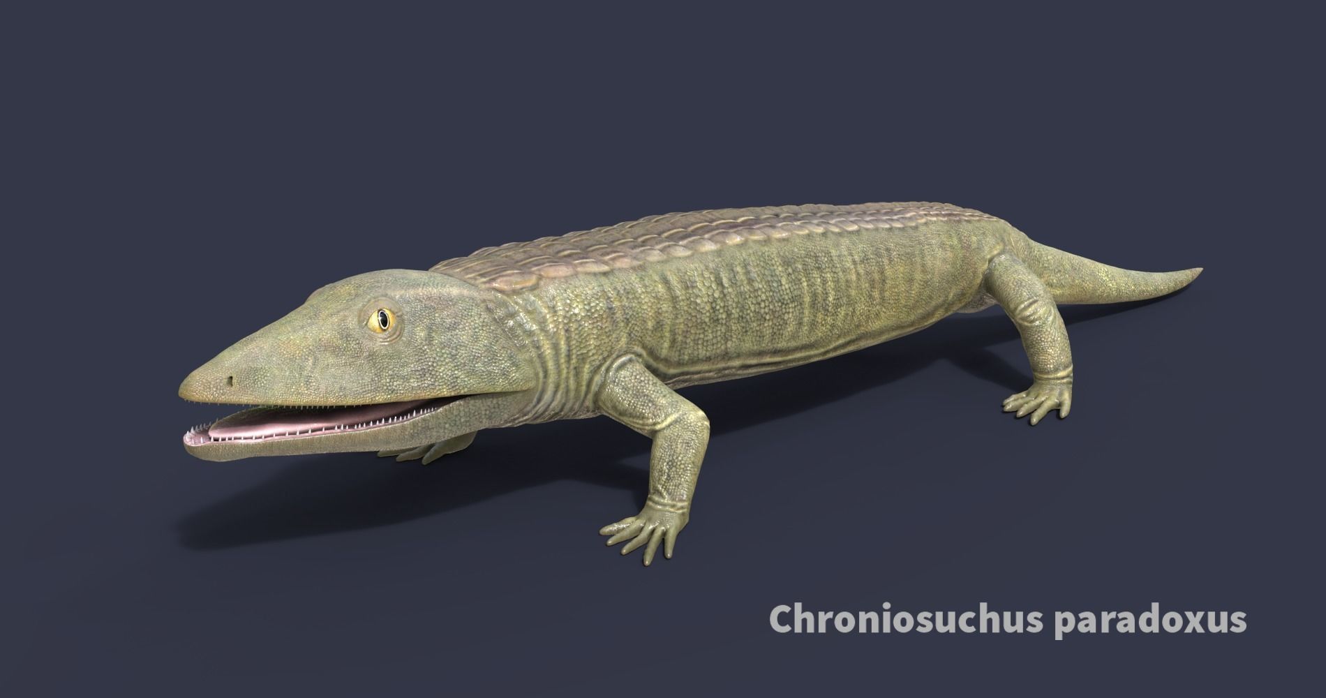 Extinct animals pack version 7 3D model_5