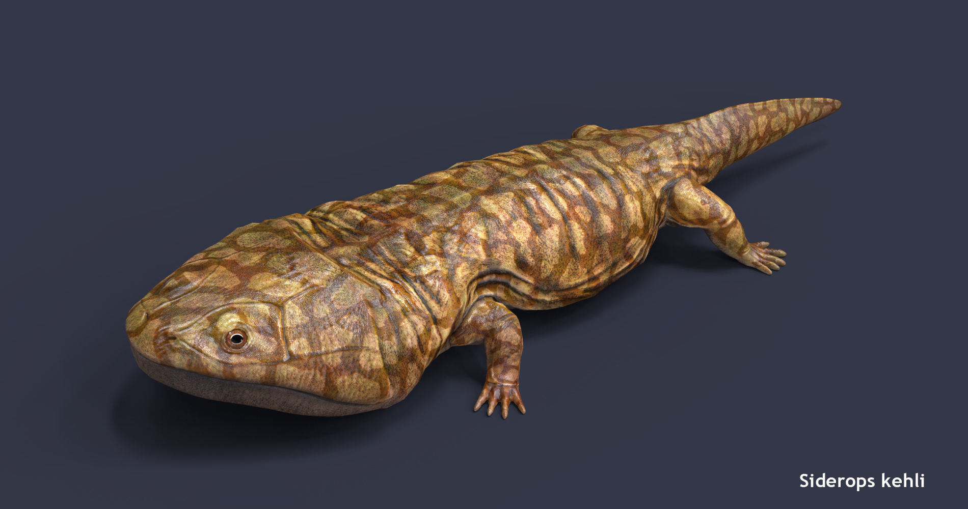 Extinct animals pack version 7 3D model_111