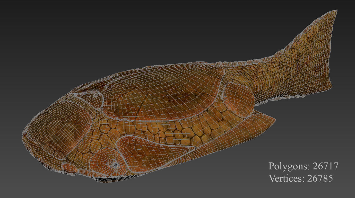 Extinct animals pack version 7 3D model_51