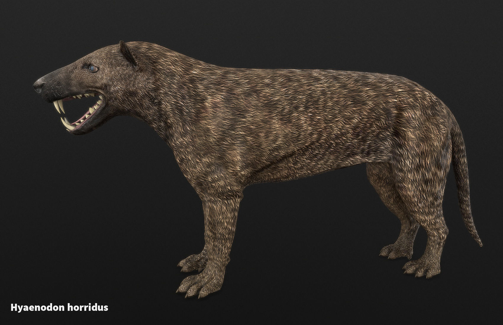 Extinct animals pack version 7 3D model_102