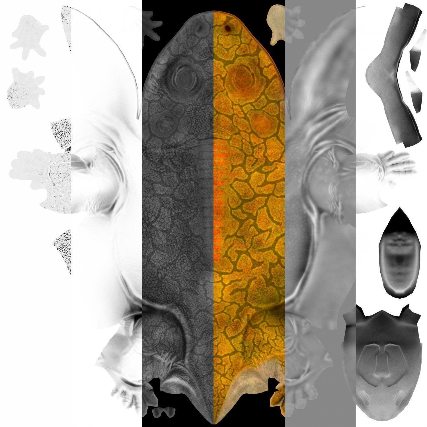 Extinct animals pack version 7 3D model_62