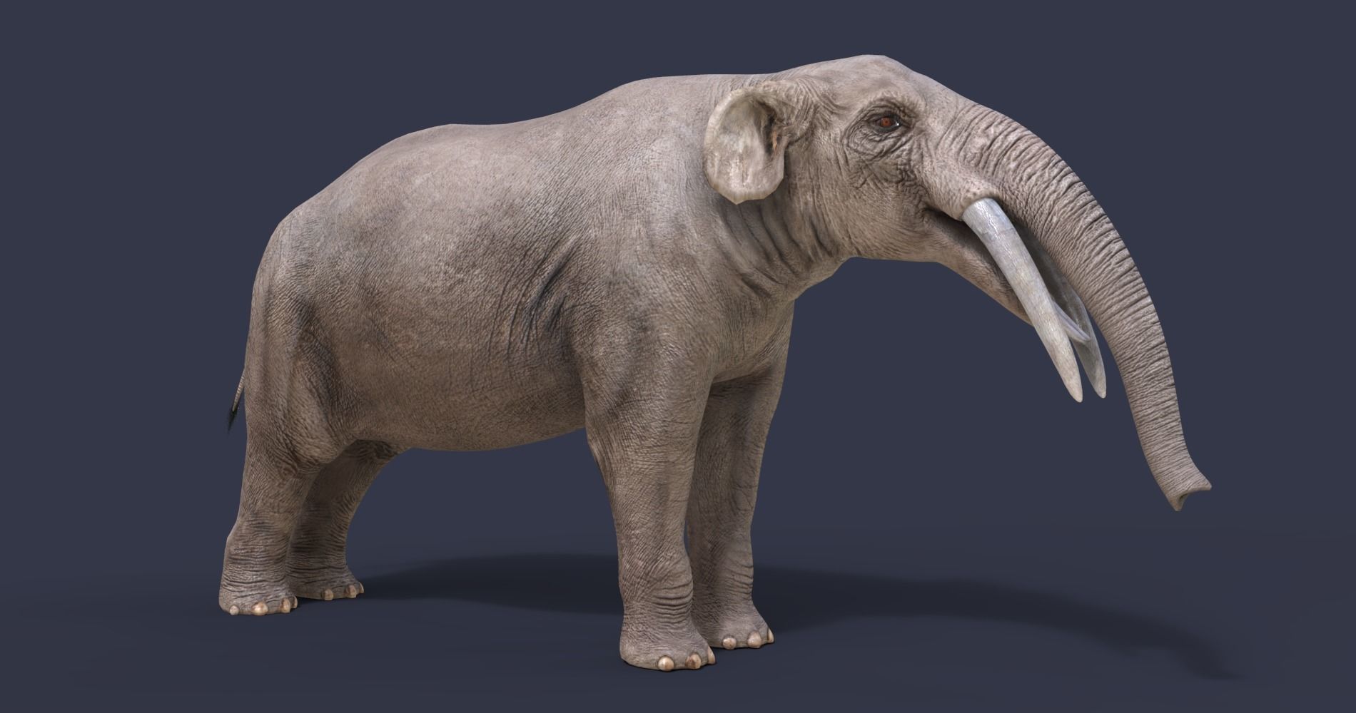 Extinct animals pack version 7 3D model_58