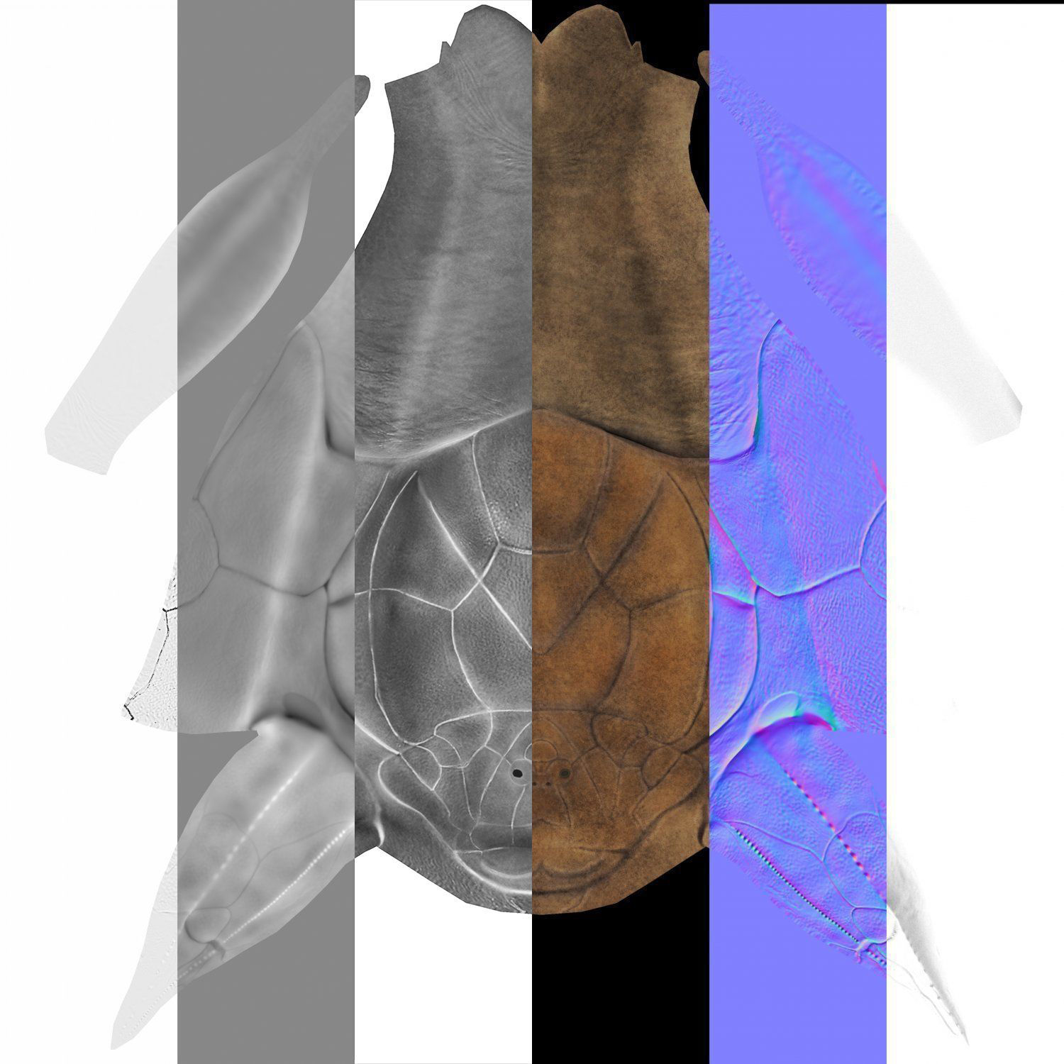 Extinct animals pack version 7 3D model_26