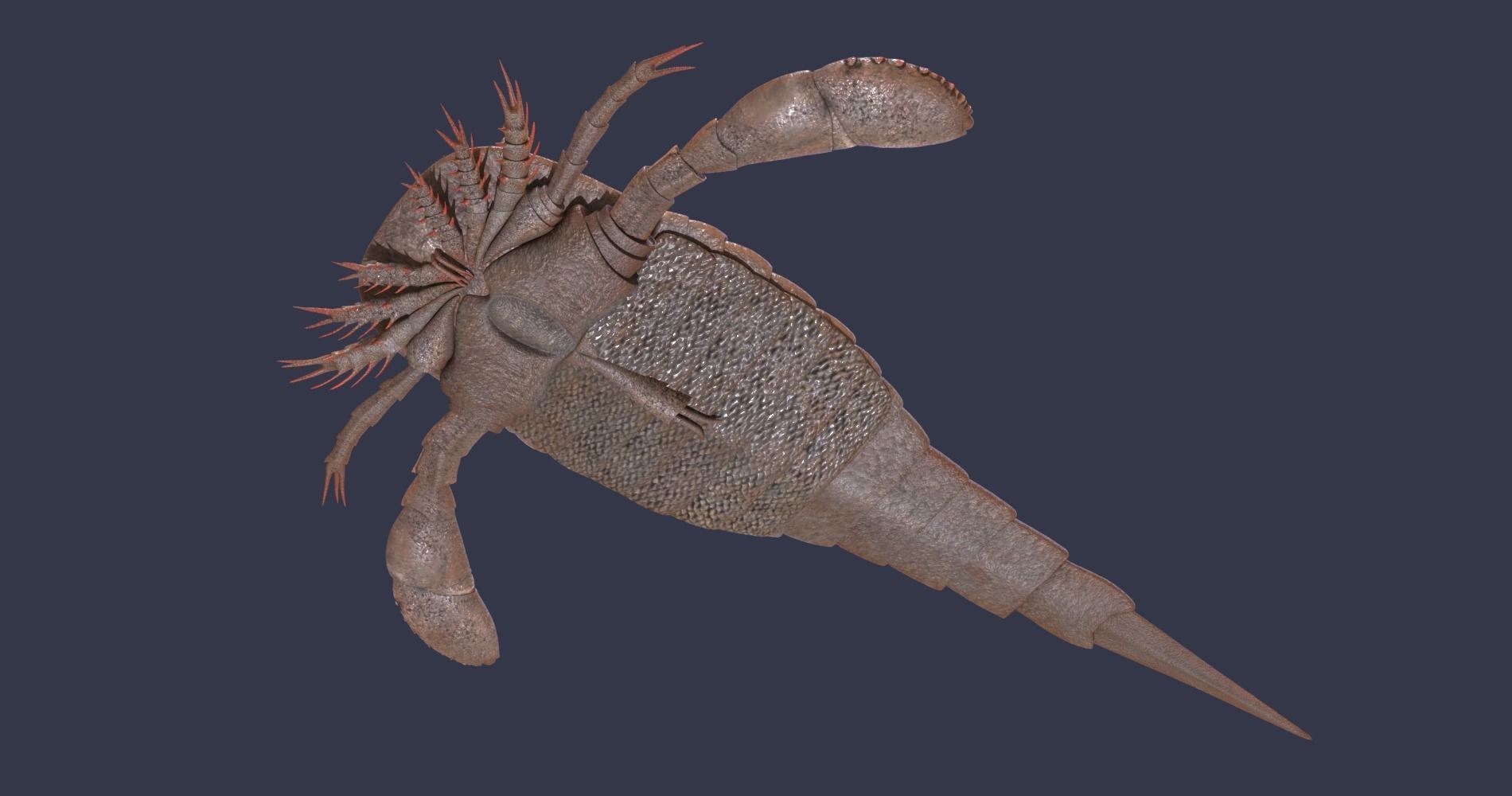 Extinct animals pack version 7 3D model_70