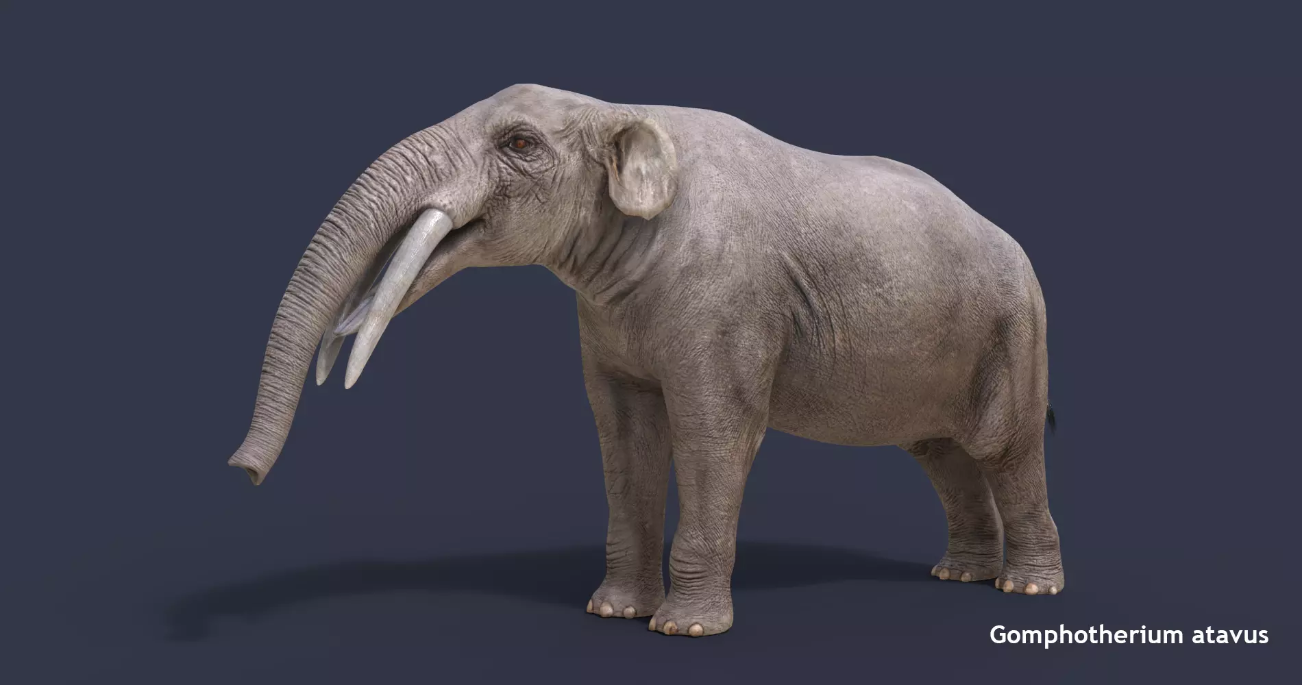 Extinct animals pack version 7 3D model_0