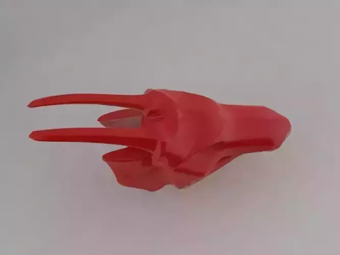 Dragon Head indumentary design 3D print model