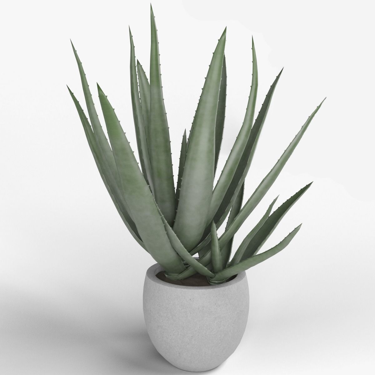ALOE VERA 3D model_3