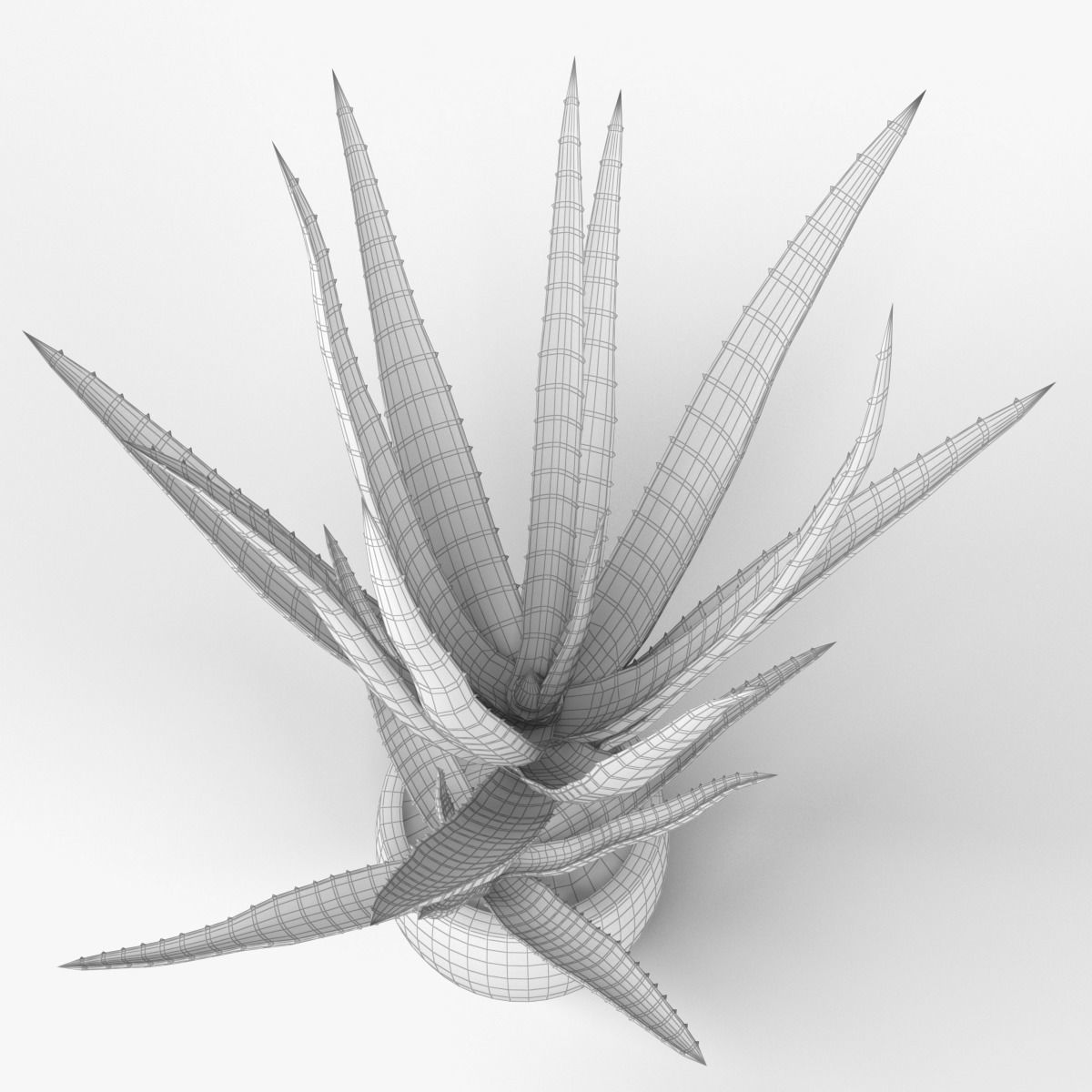 ALOE VERA 3D model_6