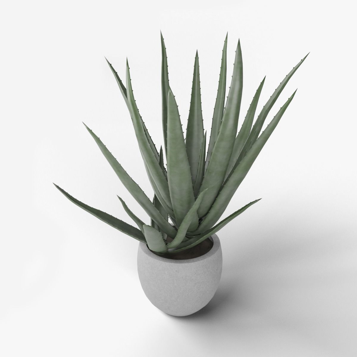 ALOE VERA 3D model_1