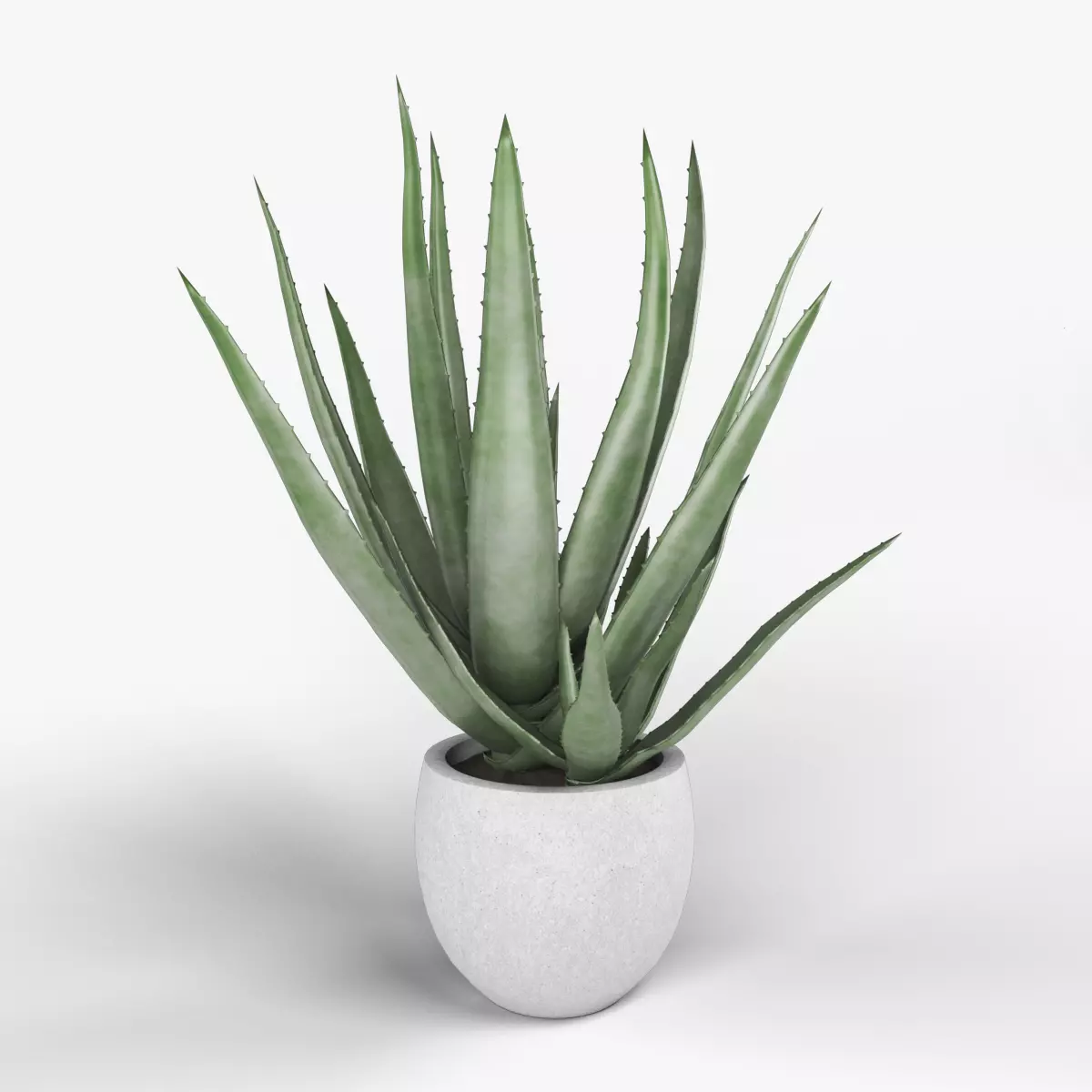 ALOE VERA 3D model_0
