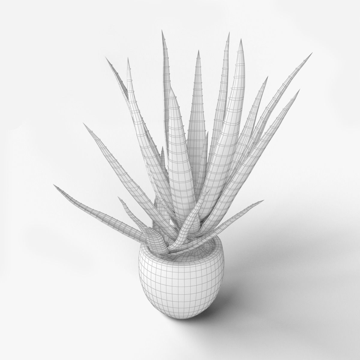 ALOE VERA 3D model_5
