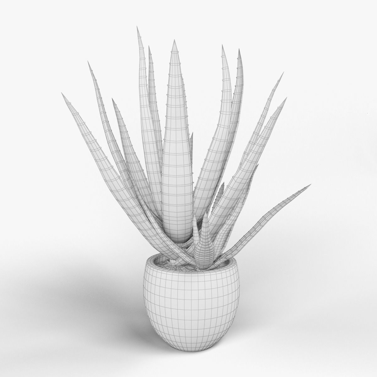 ALOE VERA 3D model_4