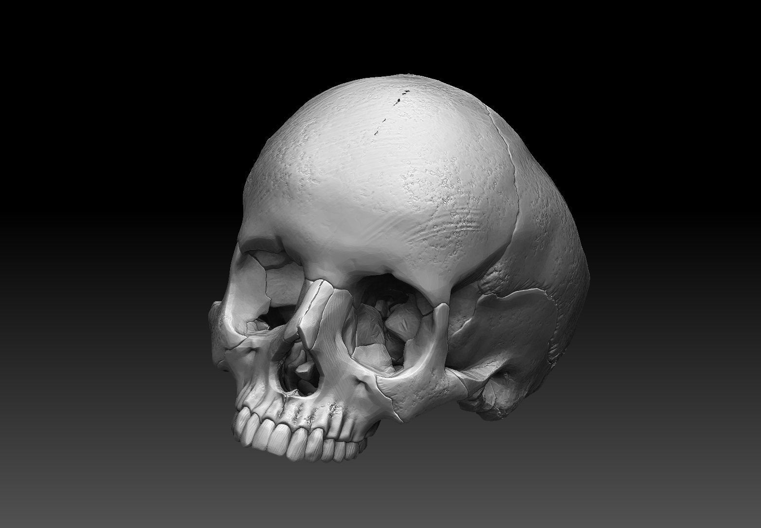 skull ring anatomically correct 3D print model_4