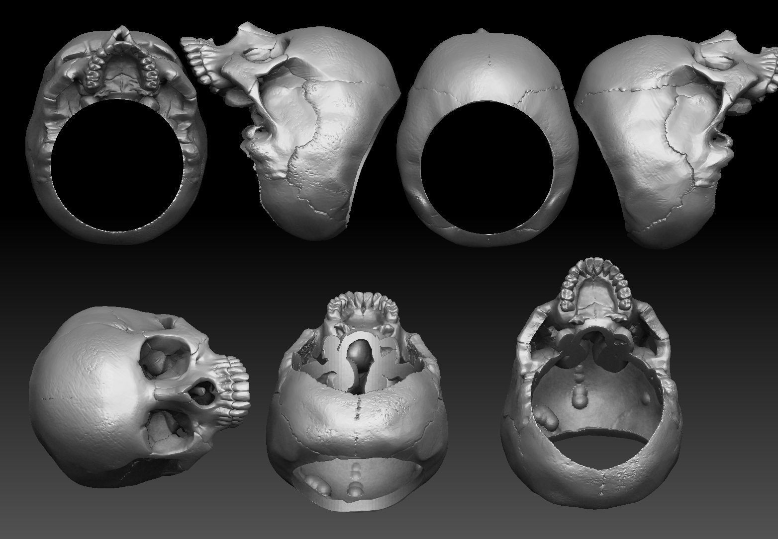 skull ring anatomically correct 3D print model_5