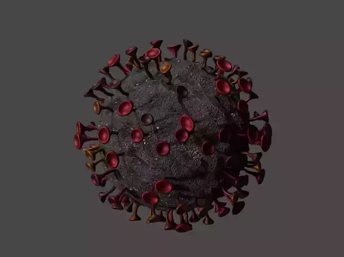 COVID-19 coronavirus Low-poly 3D model