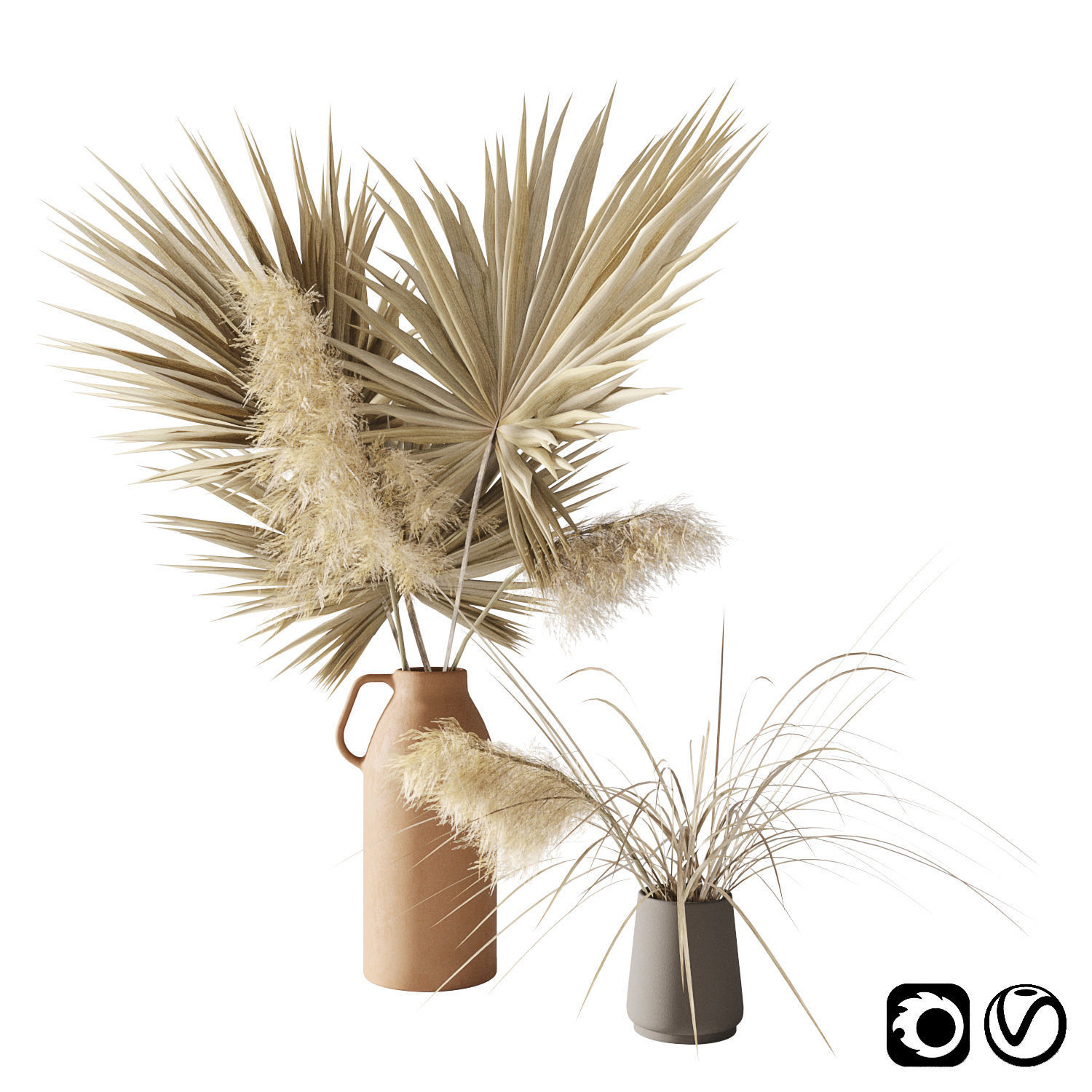 Dry palms and pampas 3D model_1