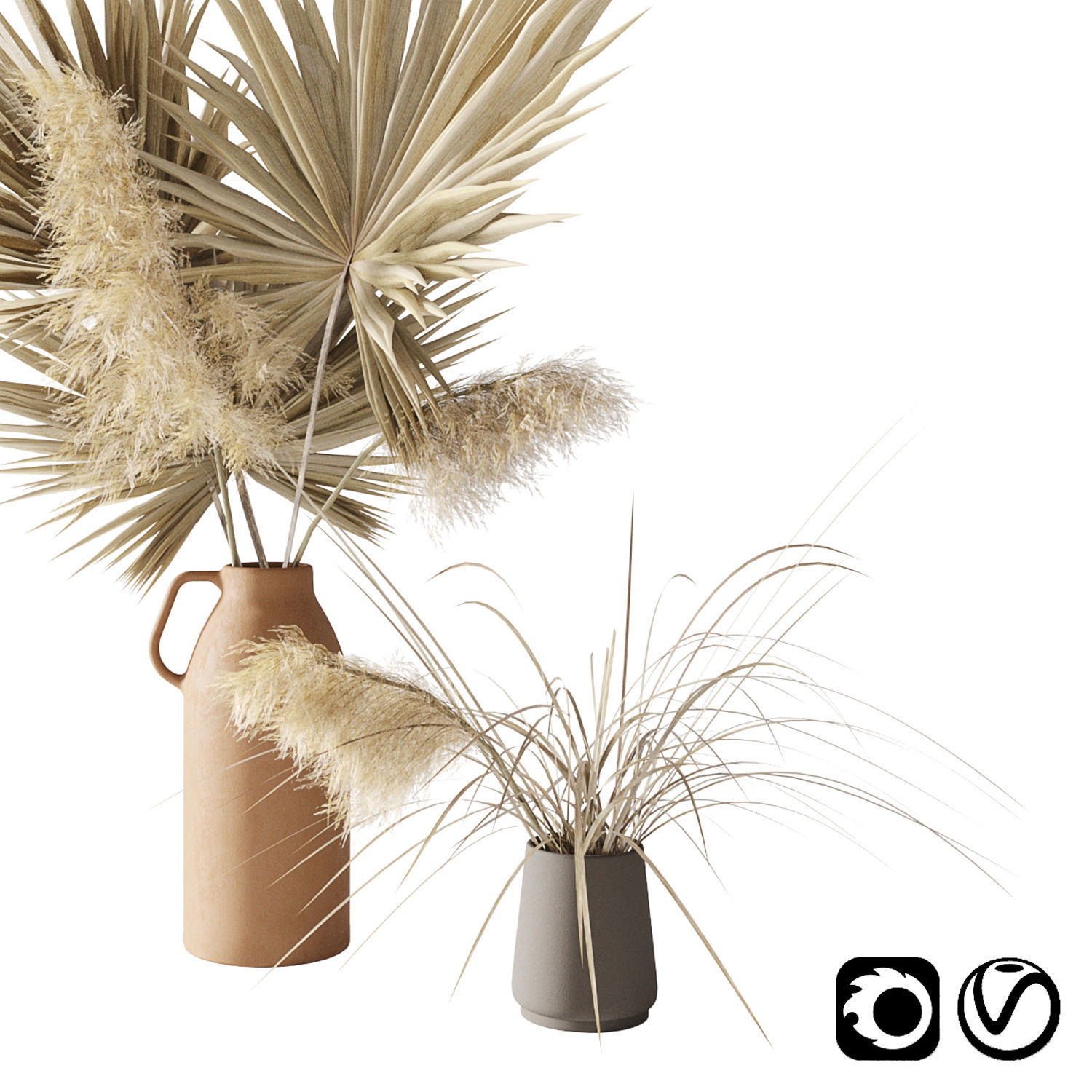 Dry palms and pampas 3D model_17