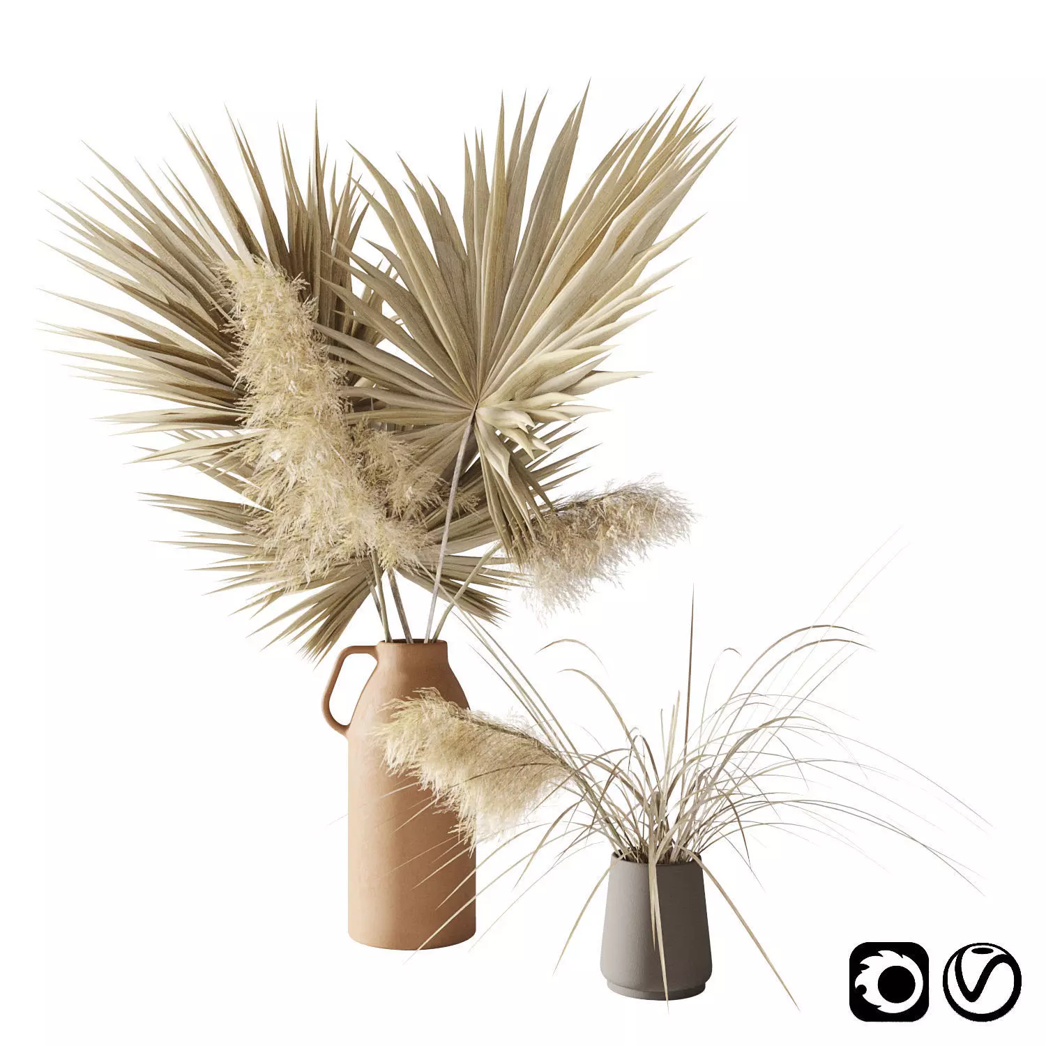 Dry palms and pampas 3D model_0