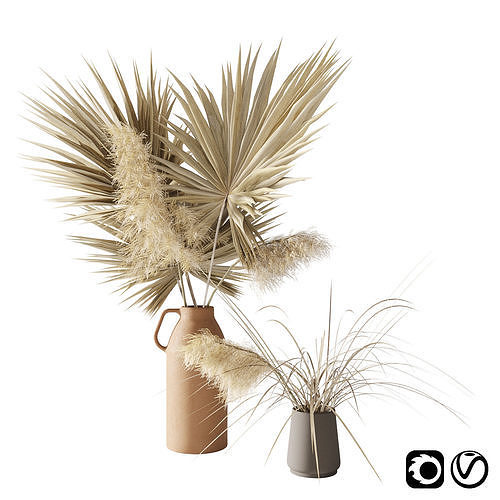 Dry palms and pampas 3D model