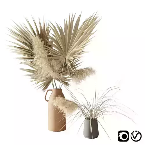 Dry palms and pampas 3D model