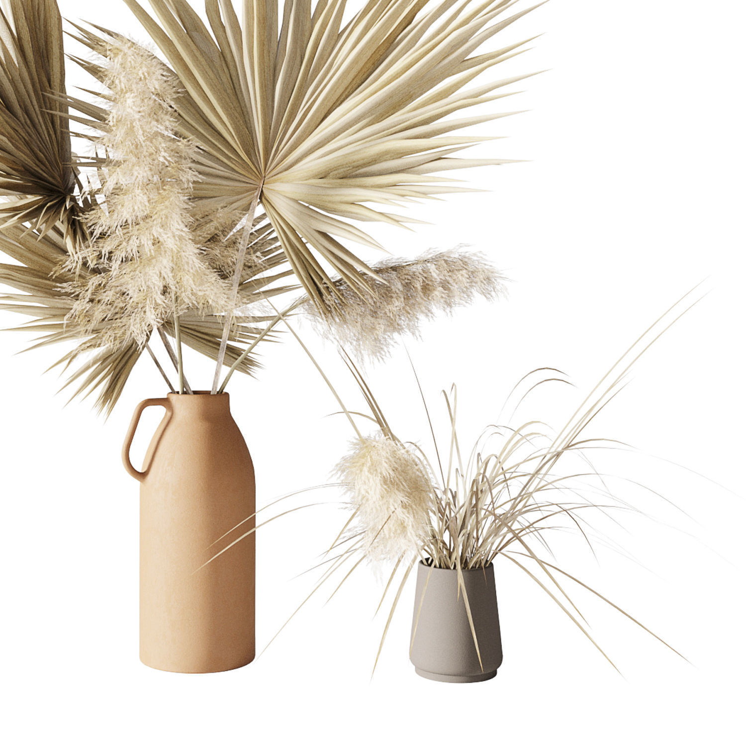 Dry palms and pampas 3D model_7
