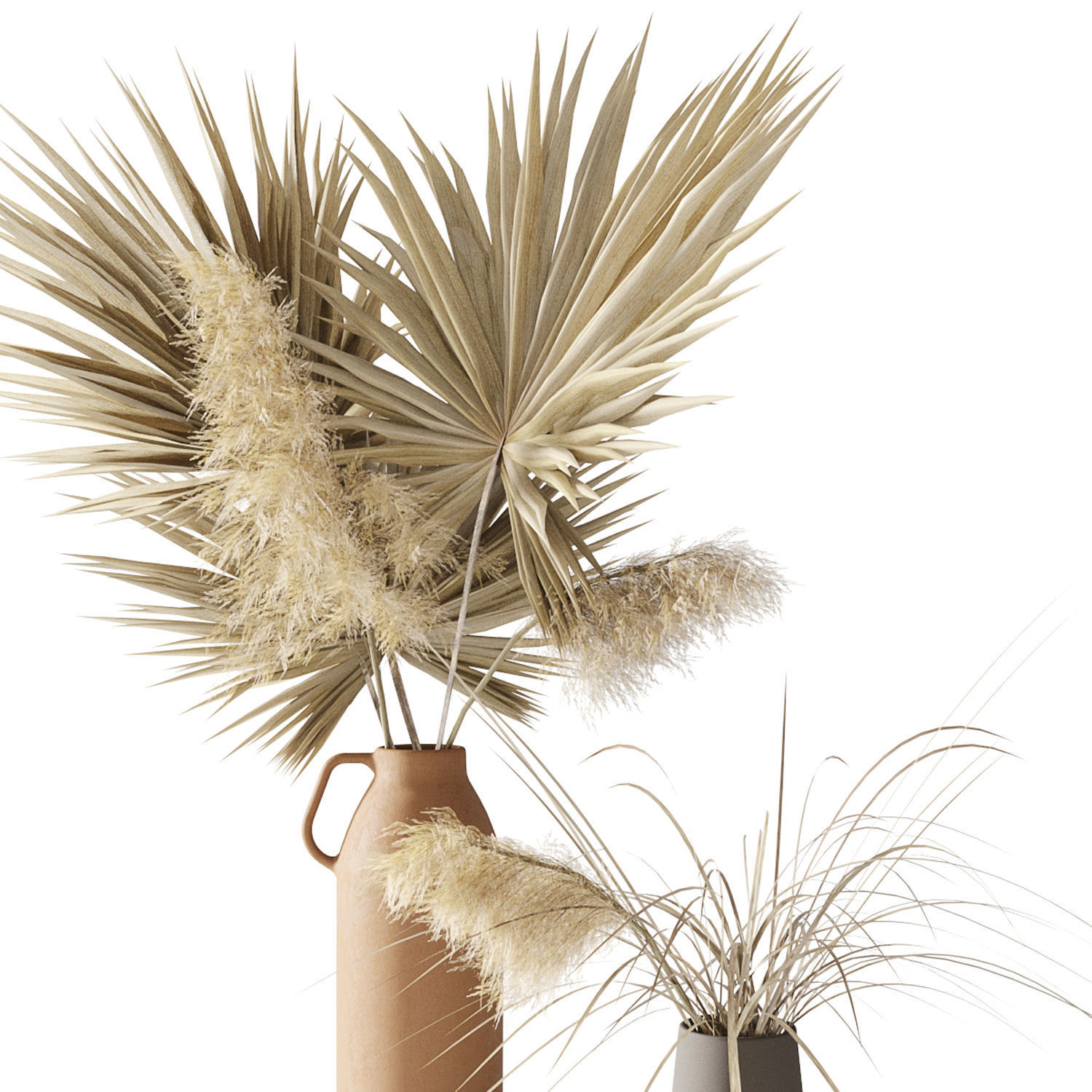 Dry palms and pampas 3D model_18