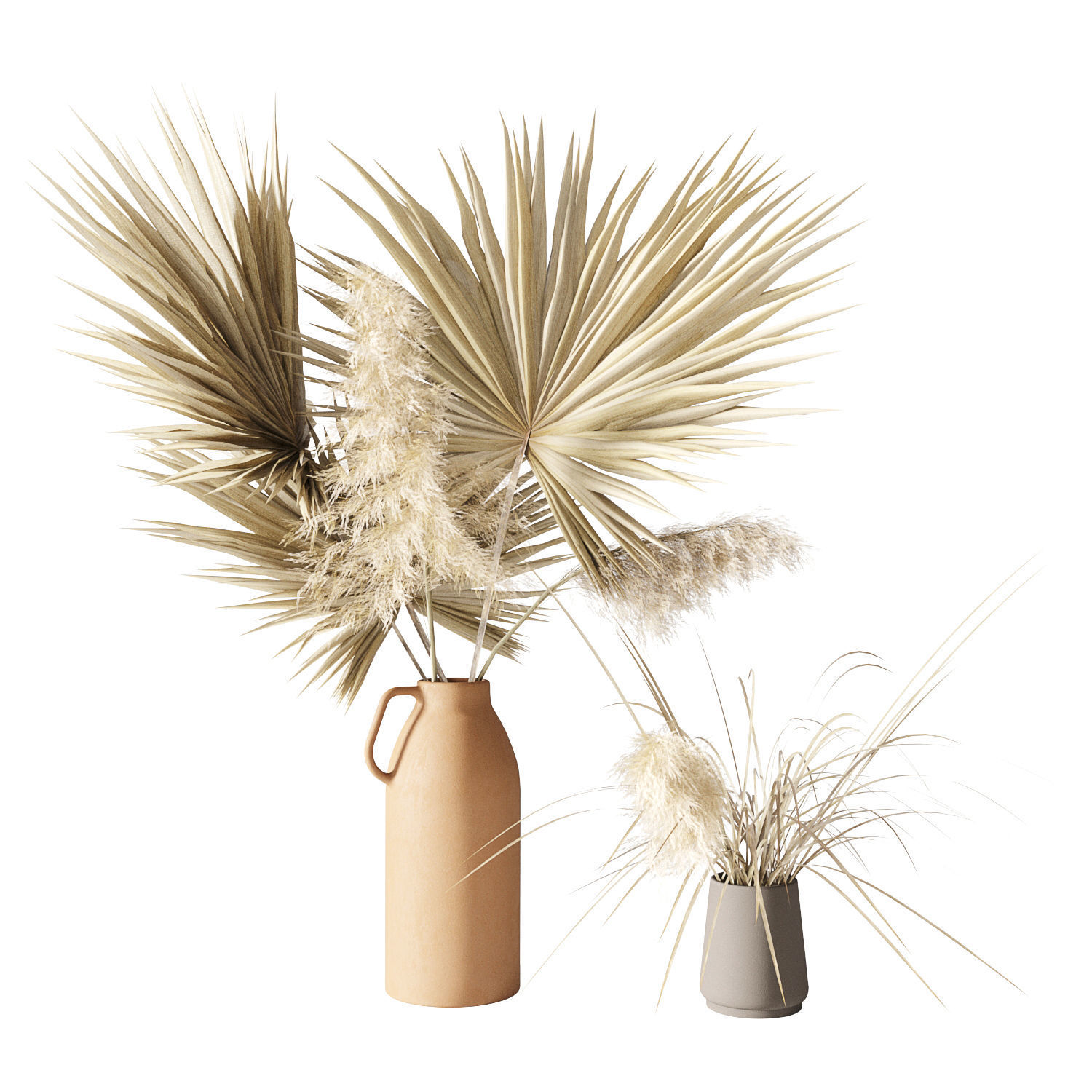 Dry palms and pampas 3D model_2