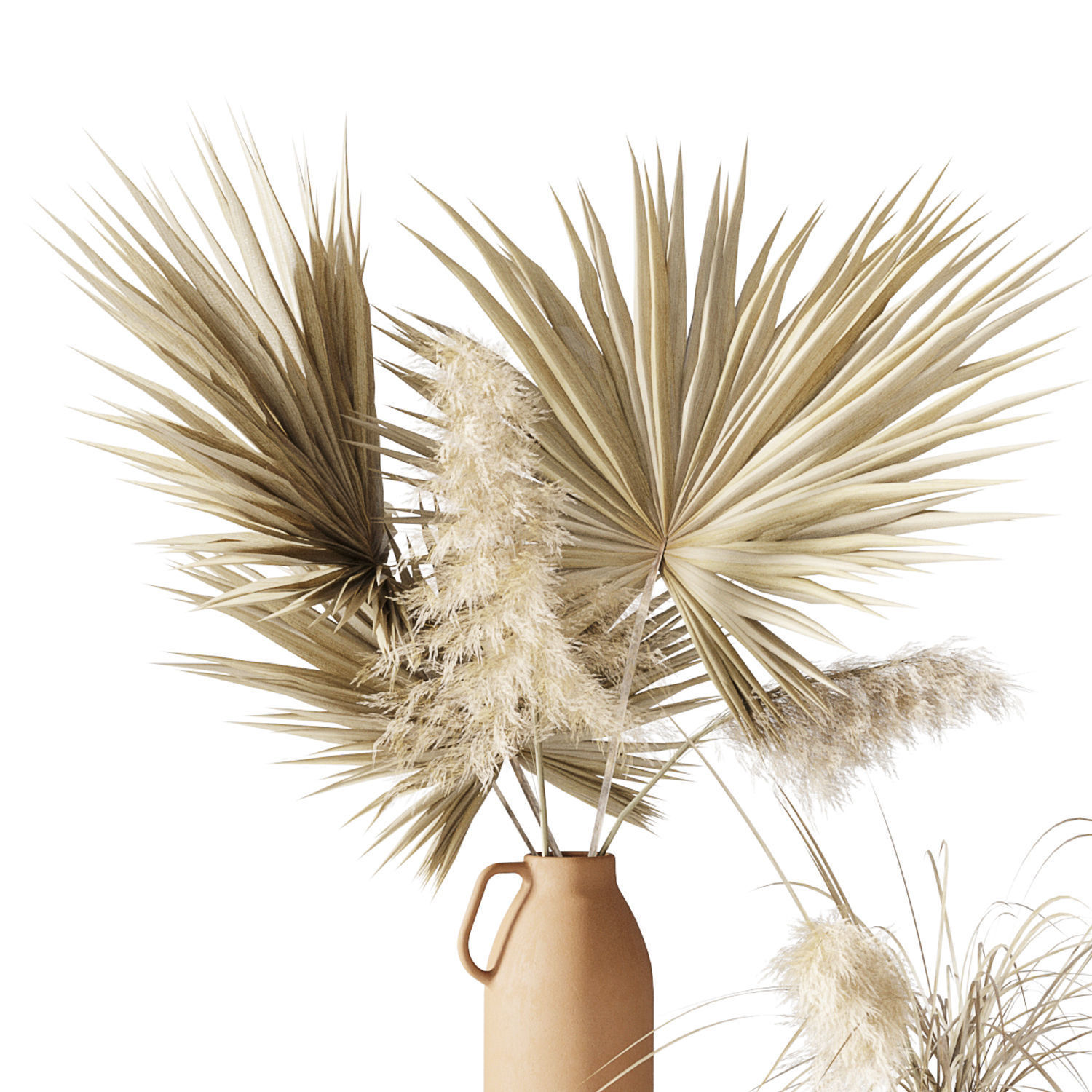 Dry palms and pampas 3D model_8