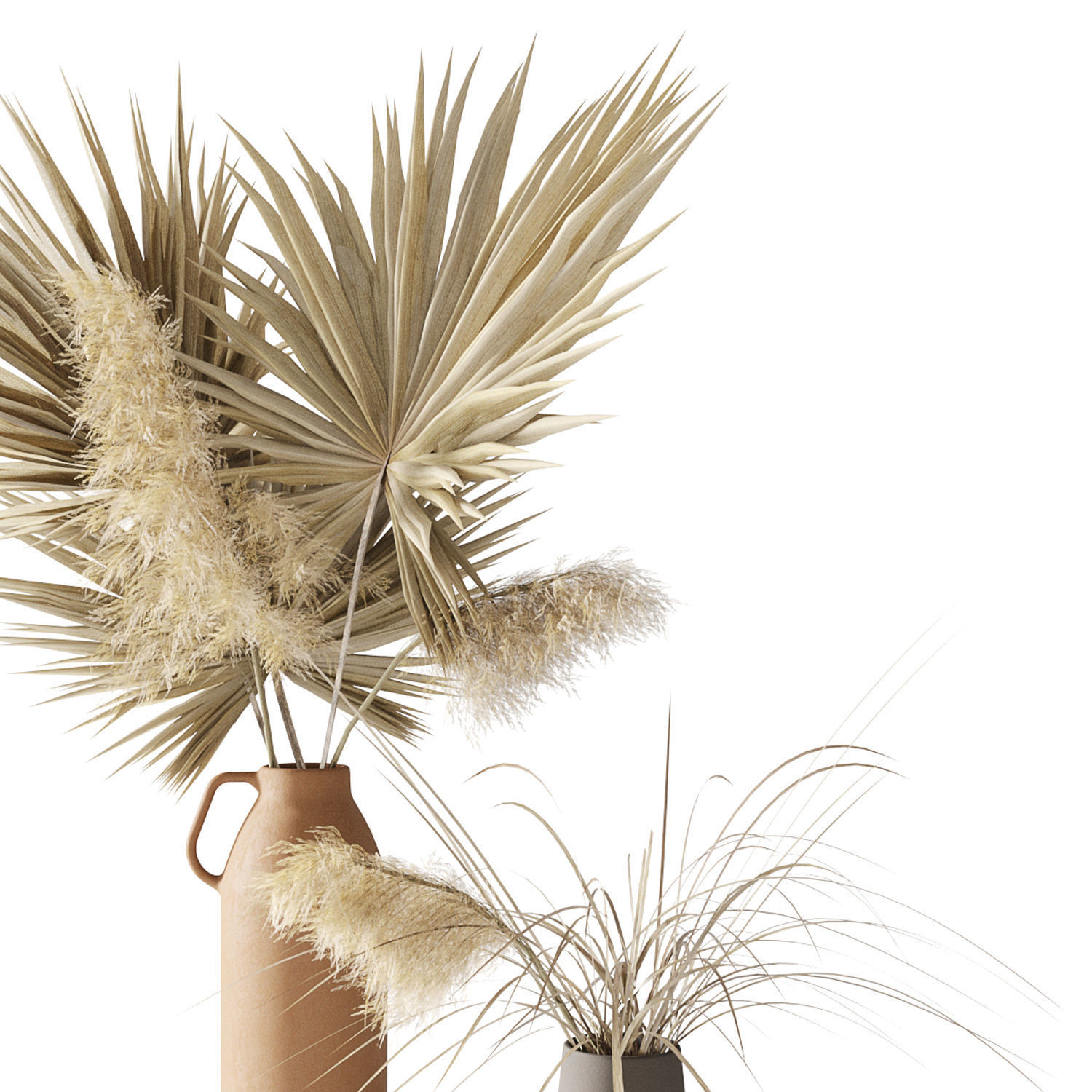Dry palms and pampas 3D model_16
