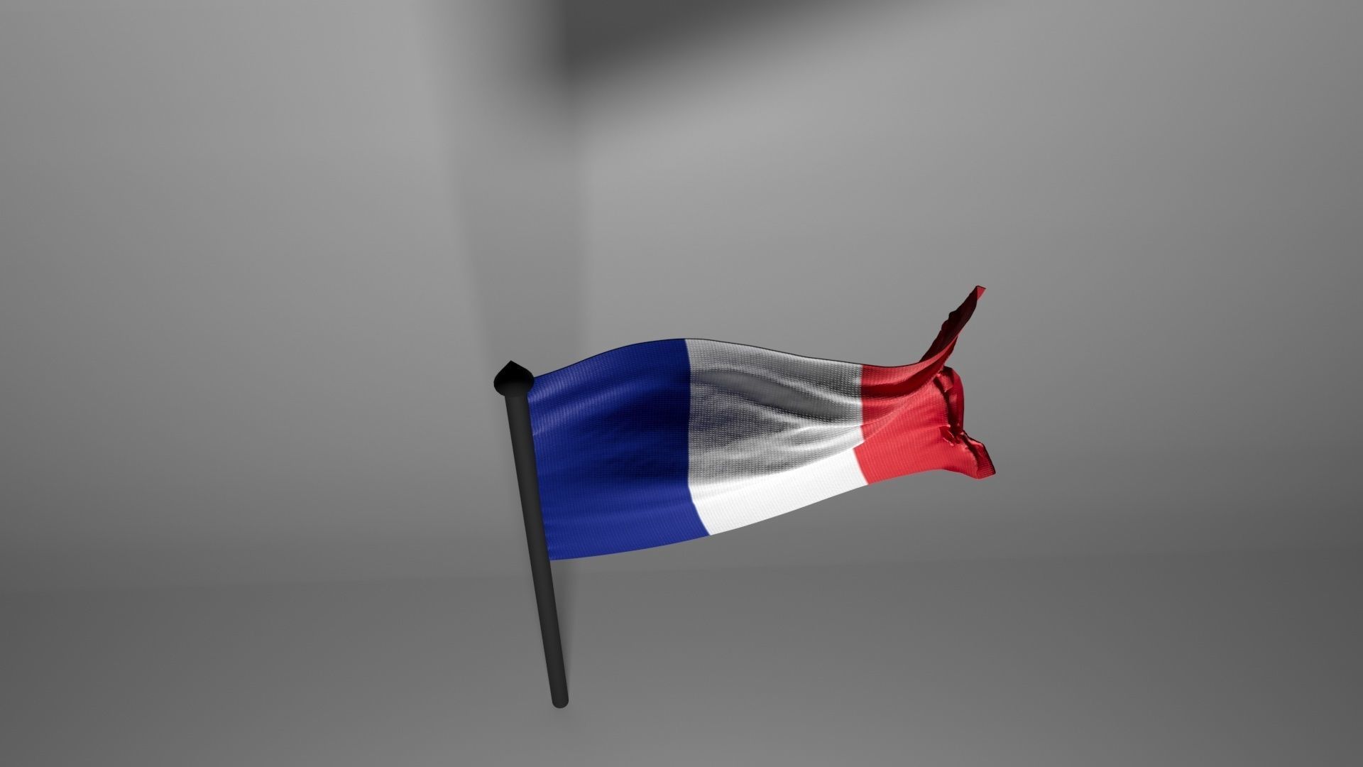 French Flag 3D model_5