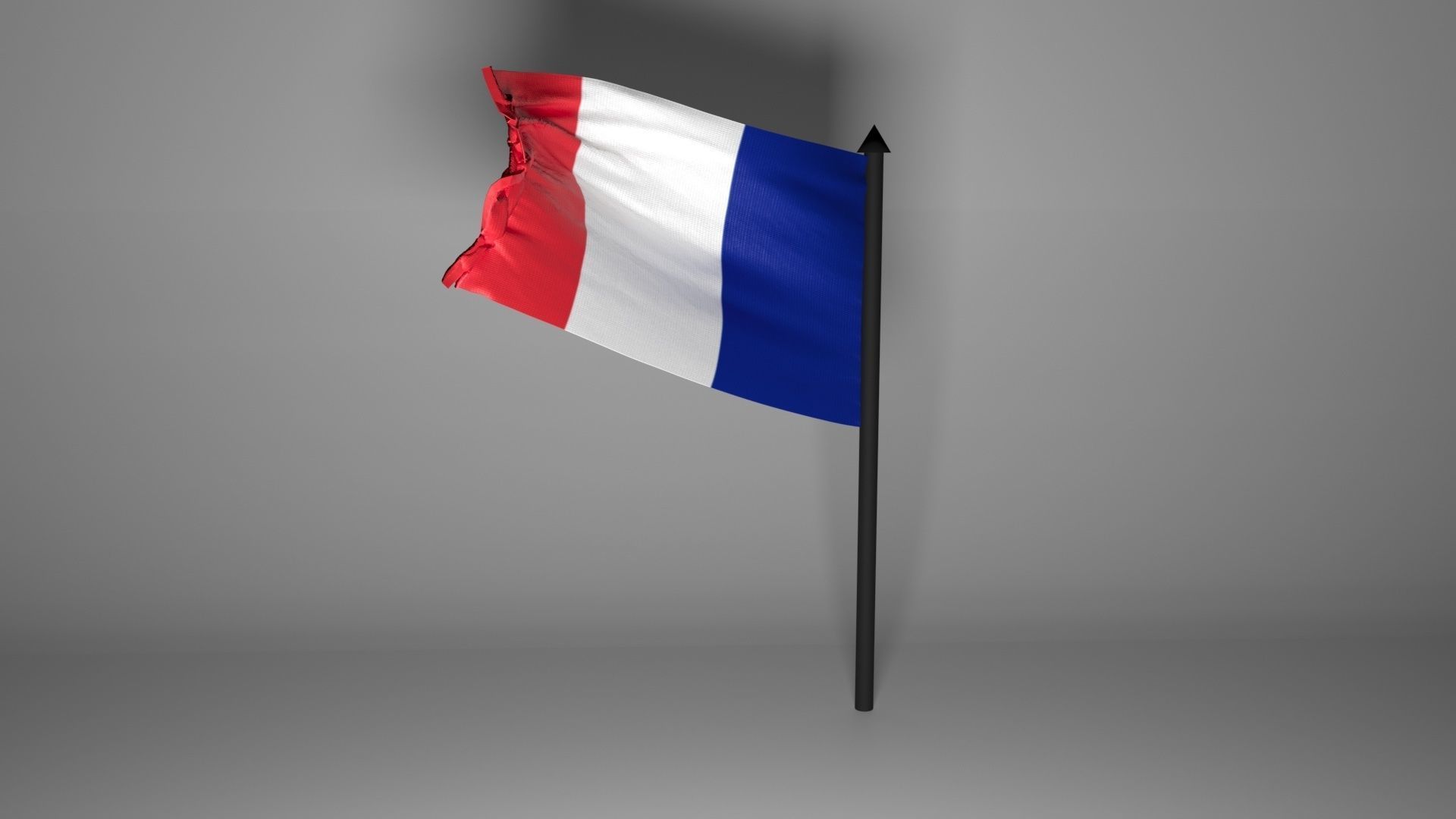 French Flag 3D model_3
