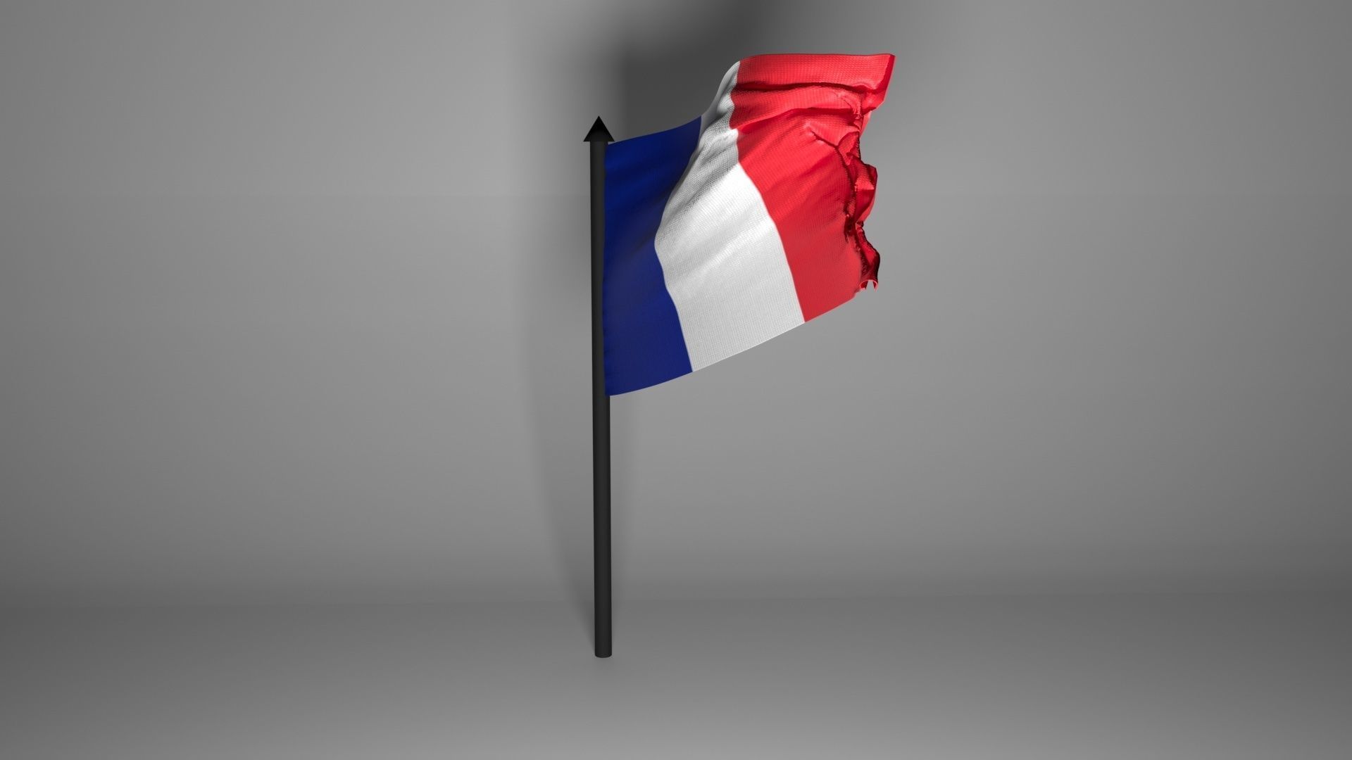 French Flag 3D model_1