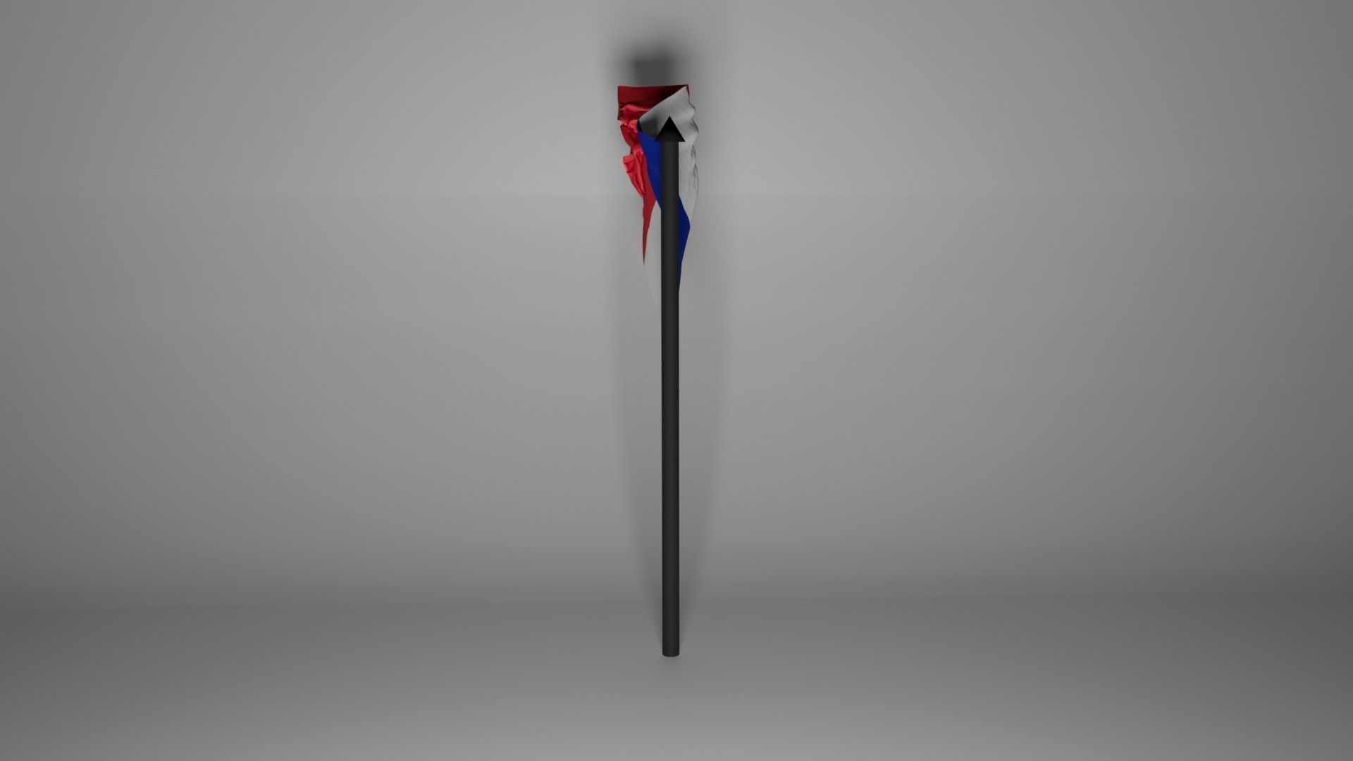 French Flag 3D model_4