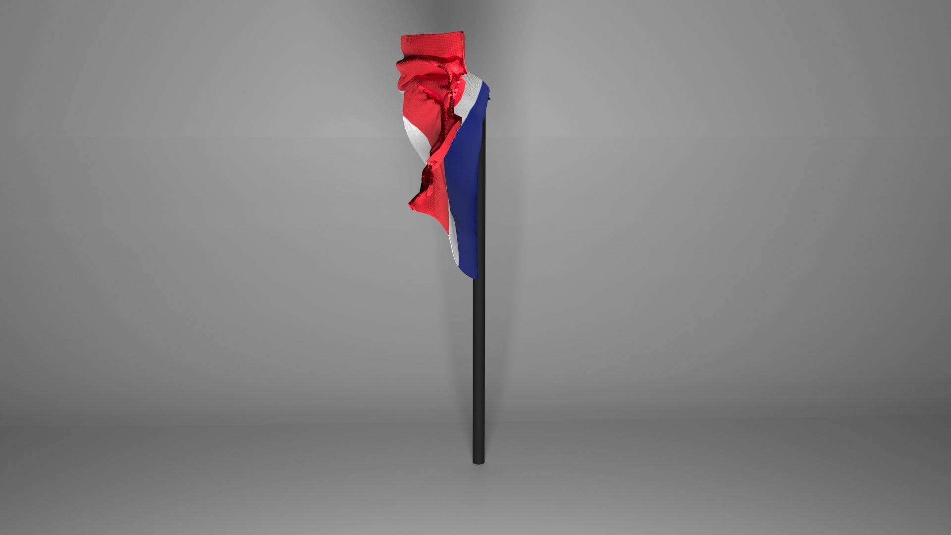 French Flag 3D model_2