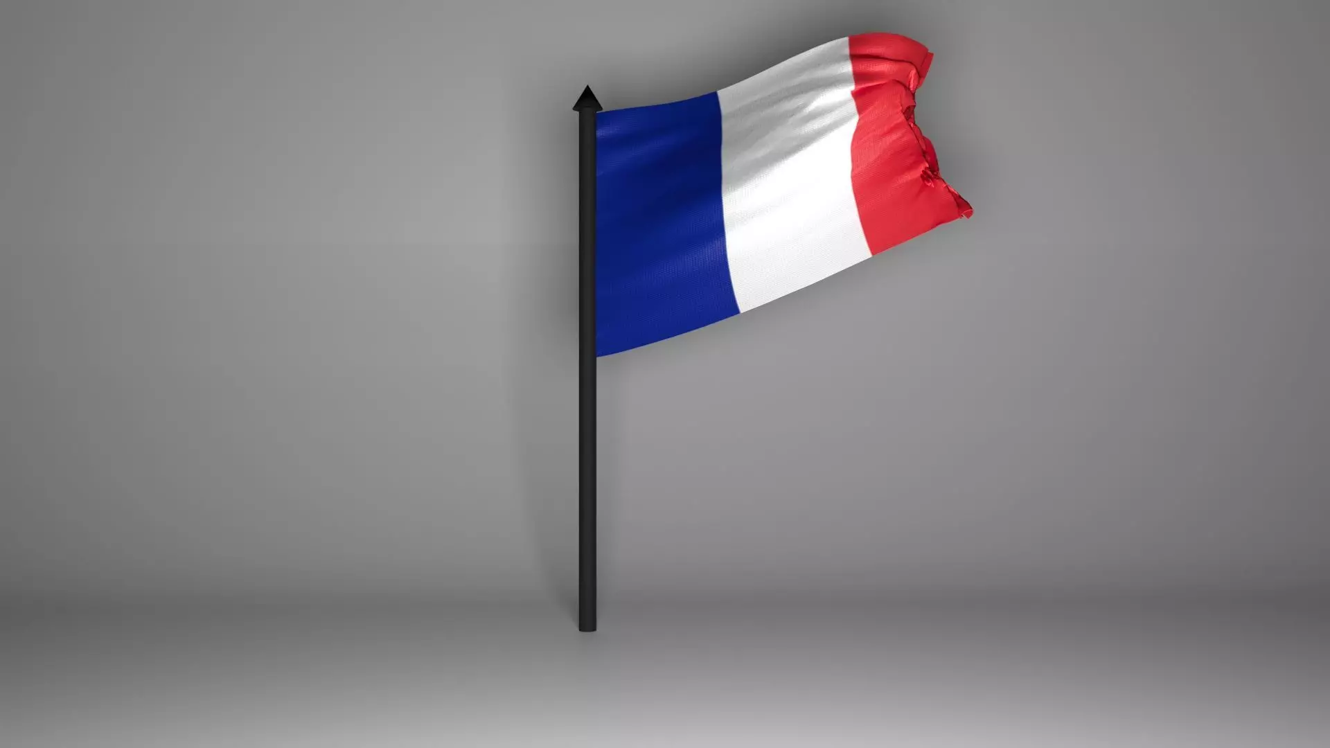 French Flag 3D model_0