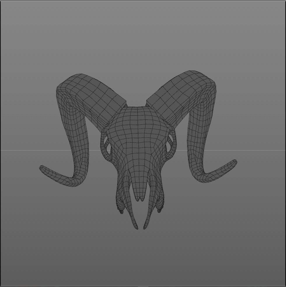 Goat skull head 3D model_3