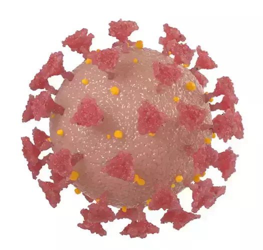 3D CoronaVirus SARS-CoV-2 COVID-19 Highpoly 3D 3D model