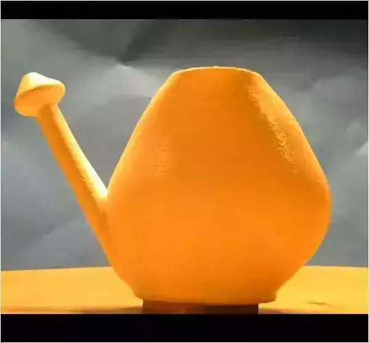 NASAL shower 3D print model