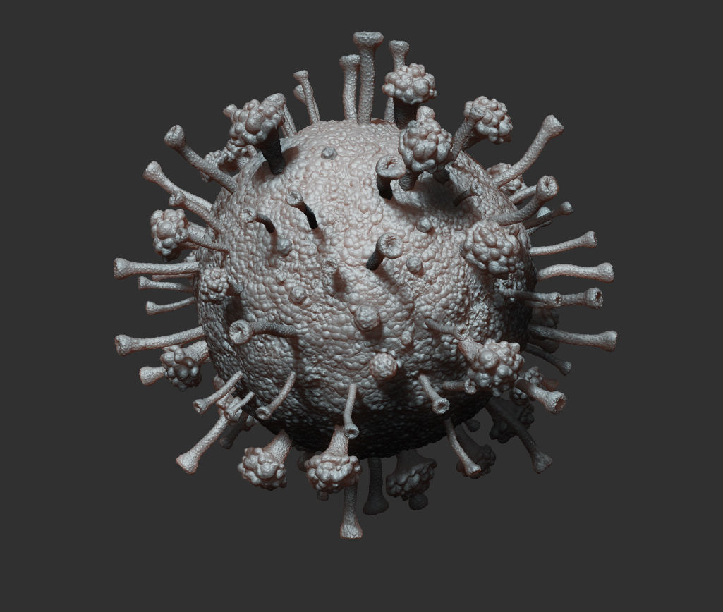 Corona Virus 3D model_5