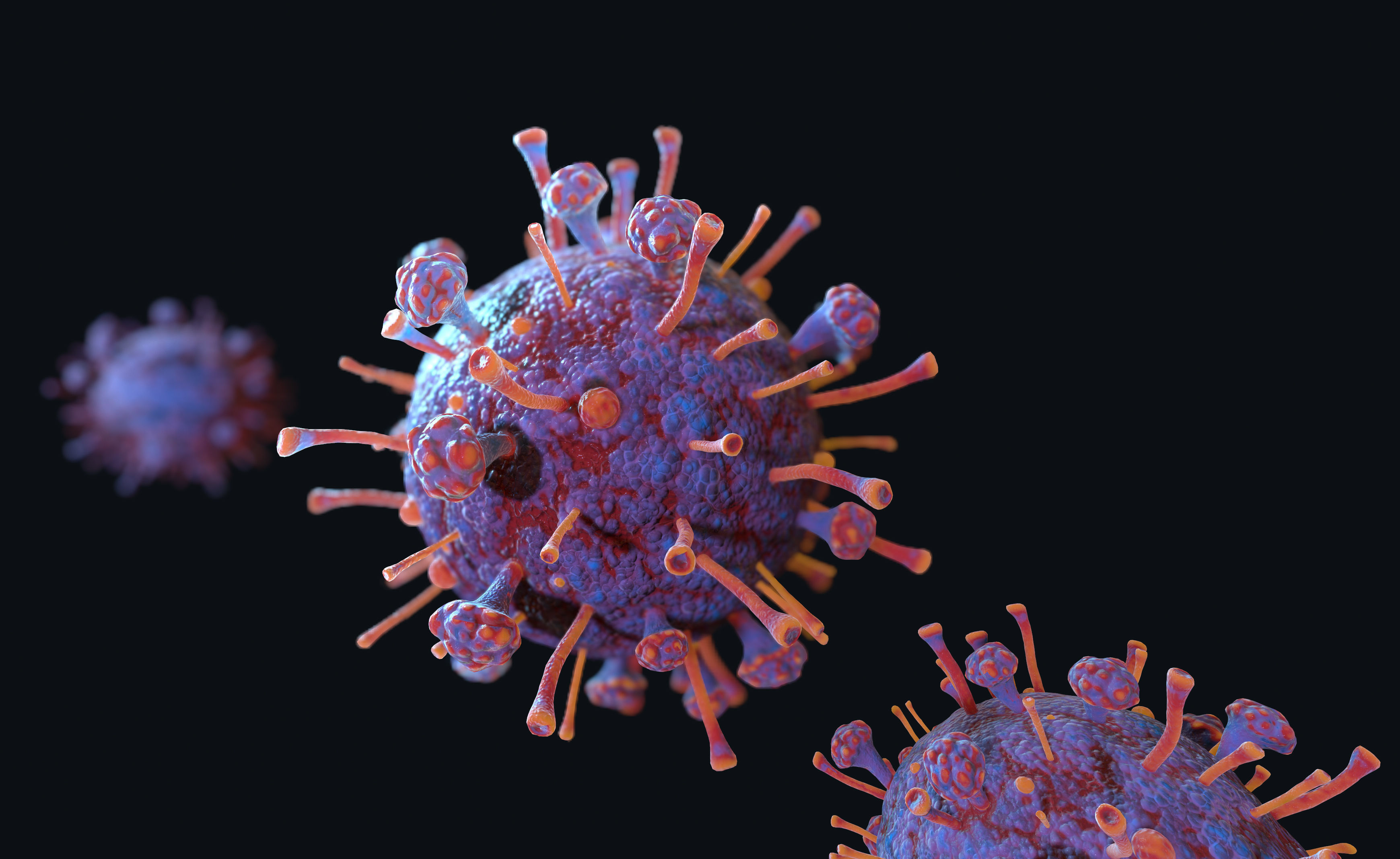 Corona Virus 3D model_4