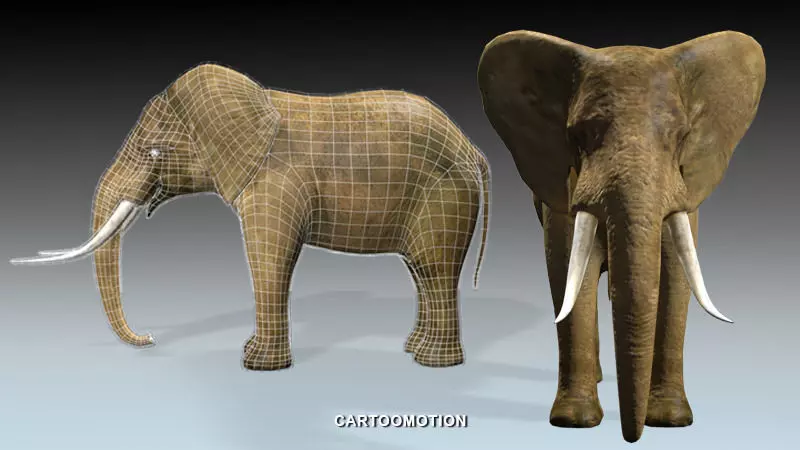 Elephant two elephants Low-poly 3D model_0