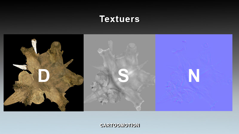 Elephant two elephants Low-poly 3D model_6