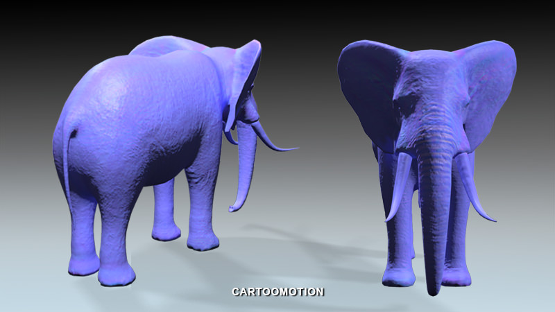 Elephant two elephants Low-poly 3D model_4