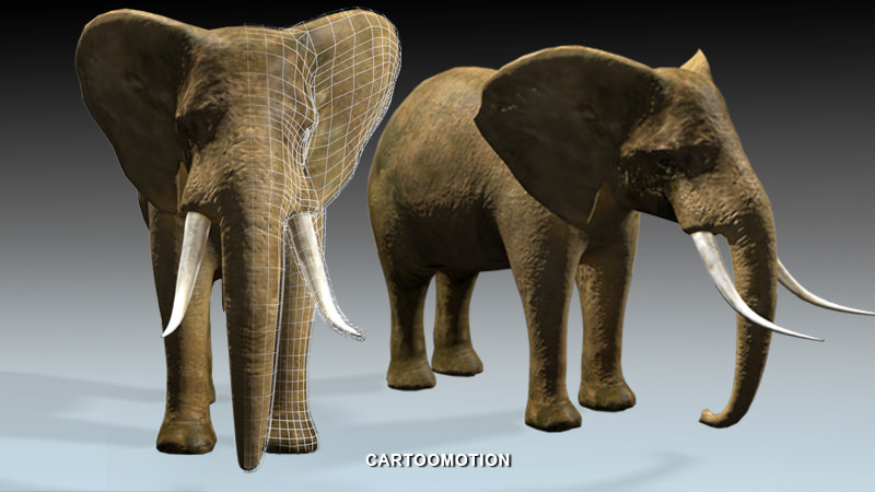Elephant two elephants Low-poly 3D model_3
