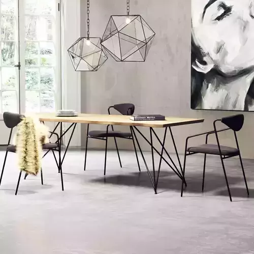 Dining Room Interior  209 3D model