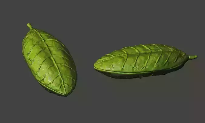 INVASION of the BODY SNATCHERS  POD shaped box 3D print model